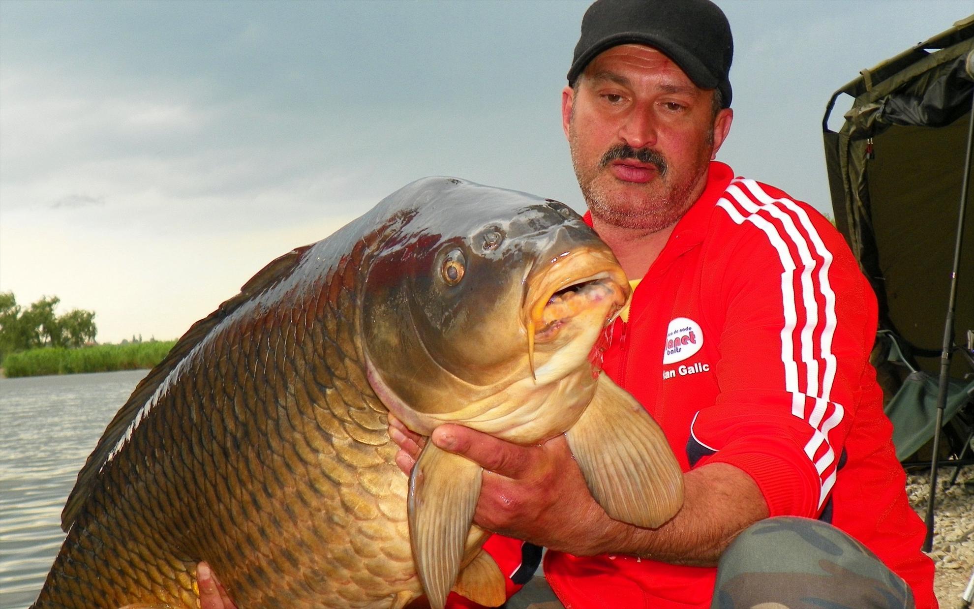 Crapmania (3) - 2011 - 1001644.JPG